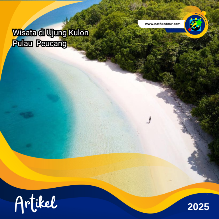 Artikel wisata di ujung kulon pulau peucang nathan tour holidays